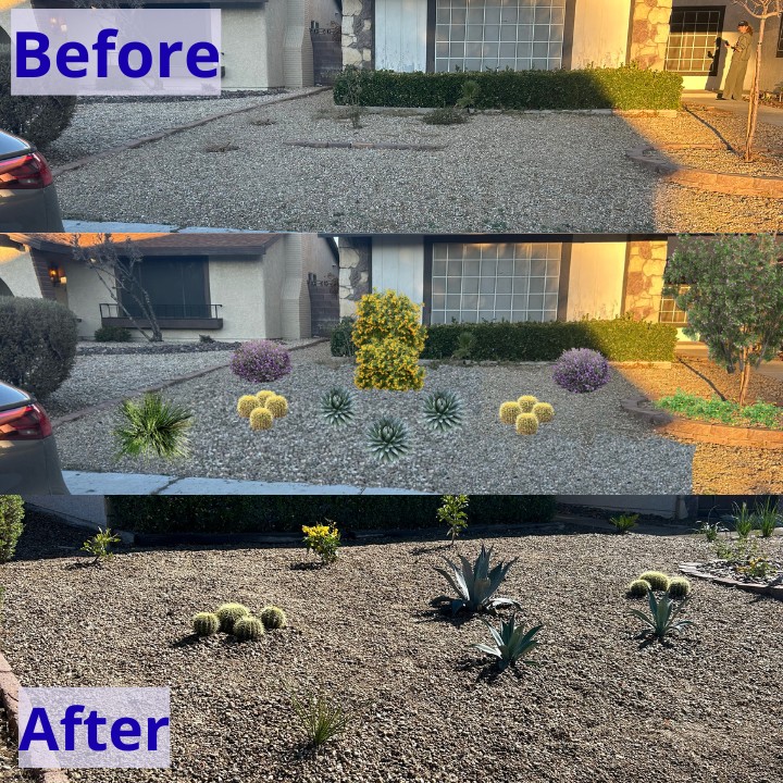 Before and after desert landscaping transformation of a front yard